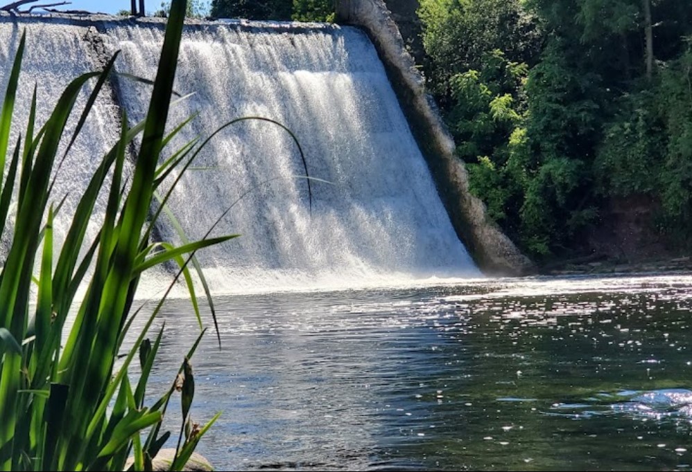 river salmon fishing