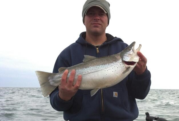 6 Facts About Brown Trout Fishing in Lake Ontario