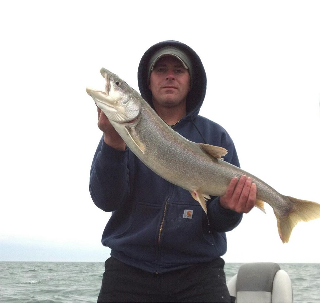 lake ontario lake trout